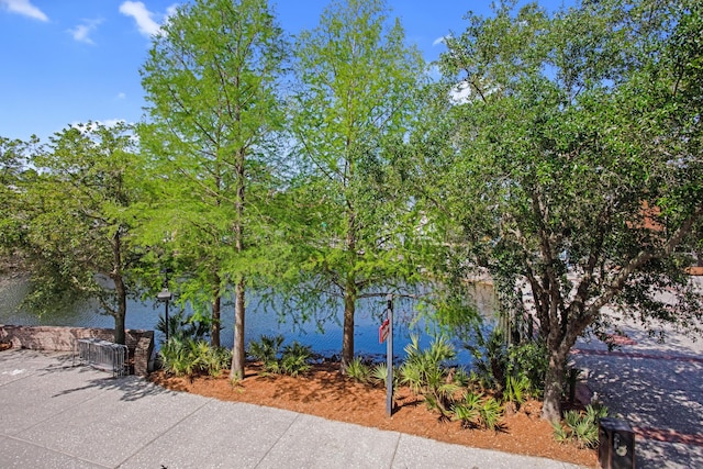 water view