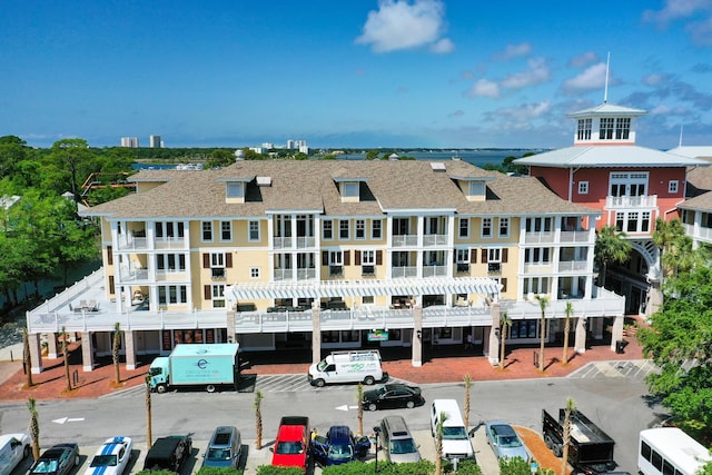drone / aerial view
