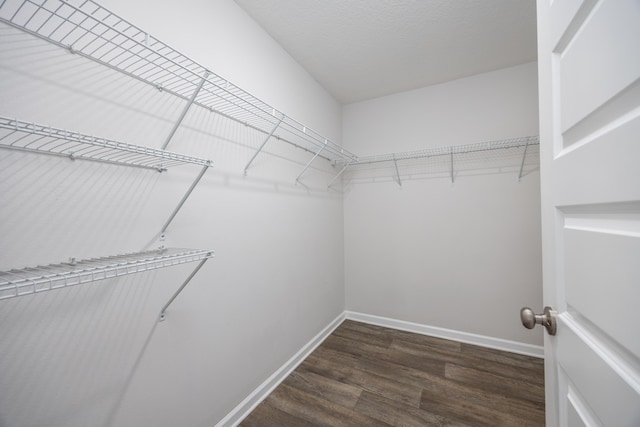 spacious closet featuring wood finished floors