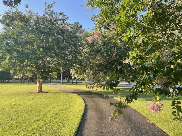 surrounding community featuring a lawn