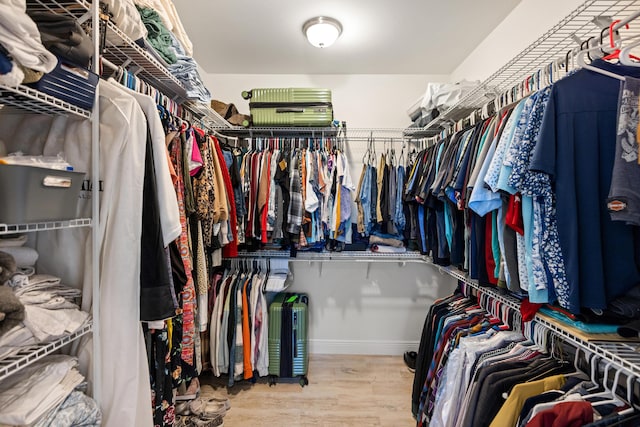 495 Brighton Cv, Freeport, FL 32439 - spacious closet with wood finished floors