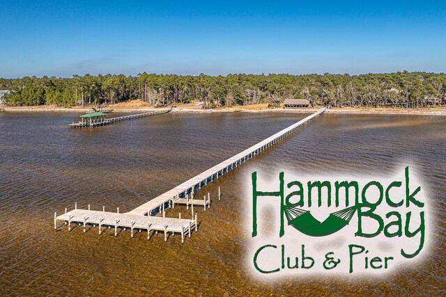 495 Brighton Cv, Freeport, FL 32439 - dock area with a view of trees and a water view