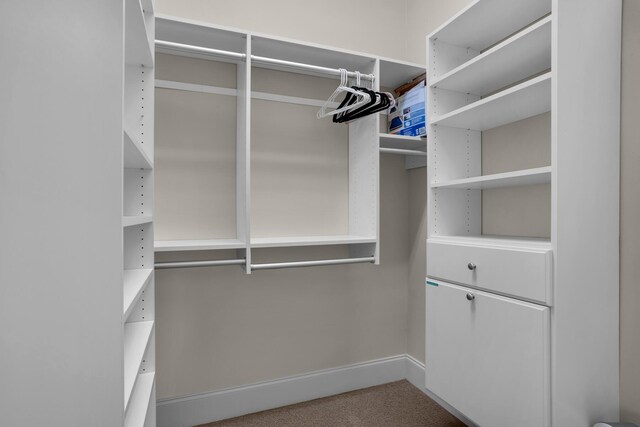 4701 Seastar Vis, Destin, FL 32541 - spacious closet with carpet flooring