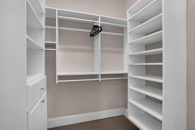4701 Seastar Vis, Destin, FL 32541 - spacious closet featuring carpet floors