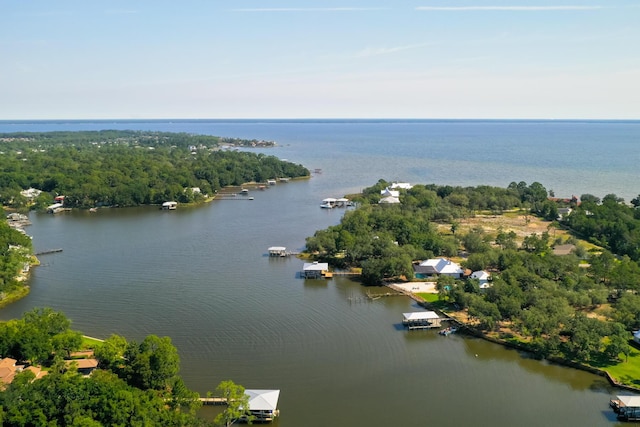 95 Bluebell Cir, Santa Rosa Beach, FL 32459 - bird's eye view of a nearby body of water