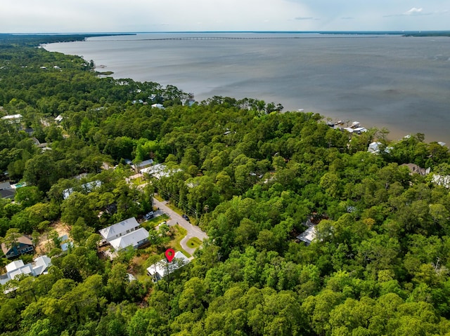 196 Summer Breeze Ln, Santa Rosa Beach, FL 32459 - drone / aerial view of a heavily wooded area and a large body of water