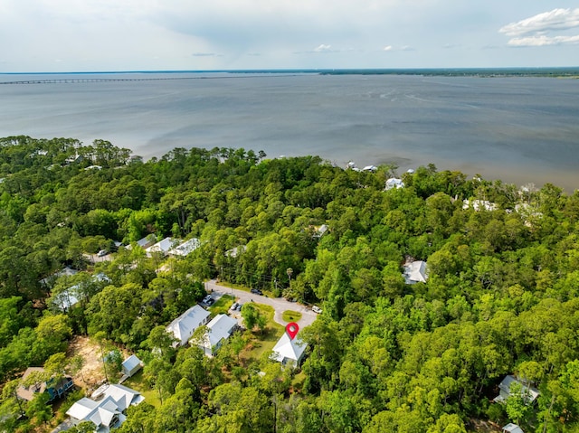 196 Summer Breeze Ln, Santa Rosa Beach, FL 32459 - aerial view of property's location with a forest and a large body of water