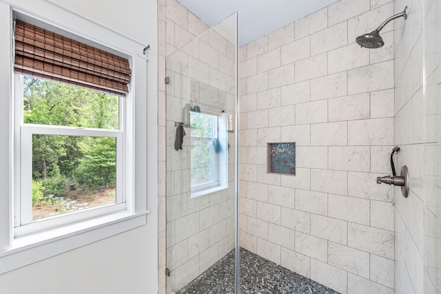 196 Summer Breeze Ln, Santa Rosa Beach, FL 32459 - full bath featuring tiled shower