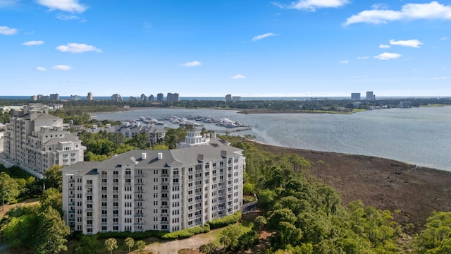 aerial view of a large body of water