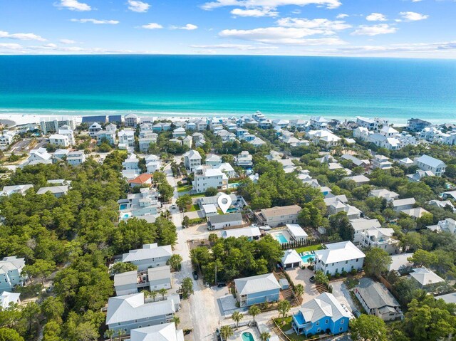 65 Brown St, Santa Rosa Beach, FL 32459 - bird's eye view of unending shoreline