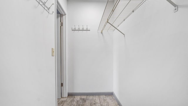 spacious closet featuring light wood-style flooring