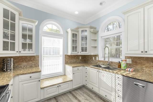 kitchen with a sink, stainless steel appliances, plenty of natural light, backsplash, and crown molding