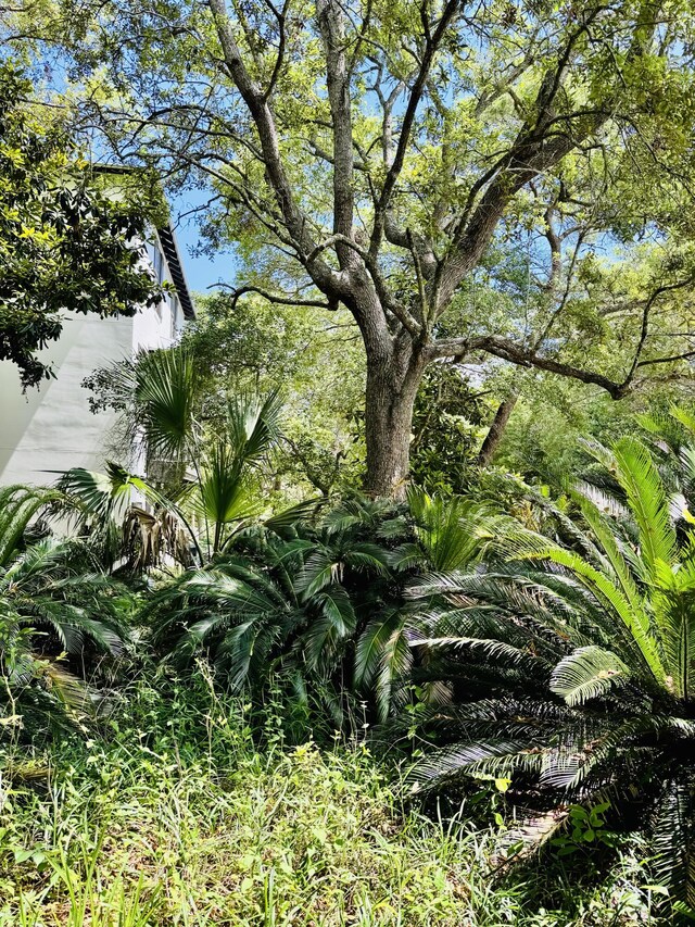view of nature
