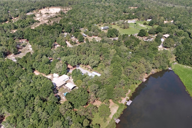 1650 Caswell Rd, Defuniak Springs, FL 32433 - aerial view of property's location with a heavily wooded area and a nearby body of water