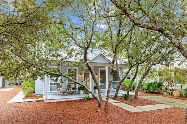 462 Clareon Dr, Inlet Beach, FL 32461 - photo 2