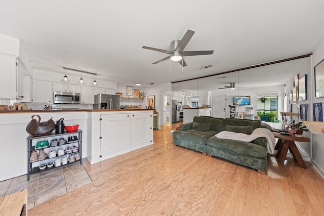 living room featuring ceiling fan and light wood finished floors