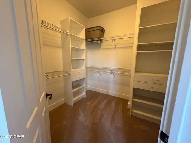 5303 Hopetown Ln, Panama City Beach, FL 32408 - spacious closet with dark colored carpet