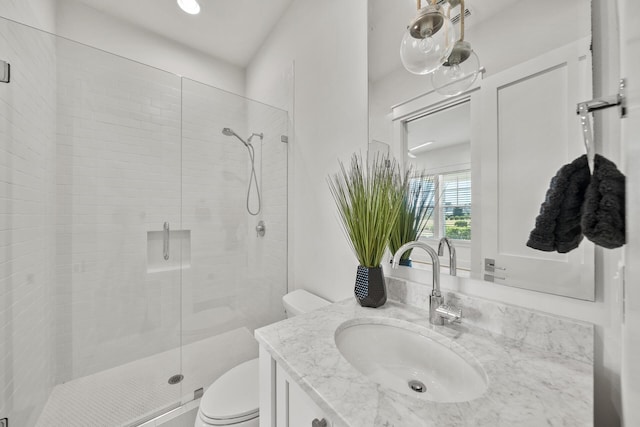 full bathroom with toilet, a shower stall, and vanity