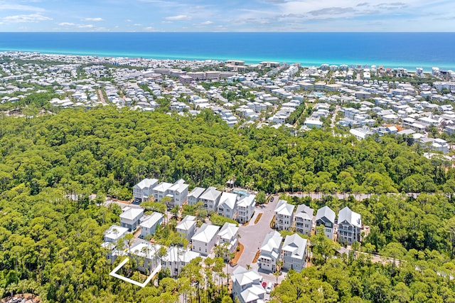26 Silver Maple Dr, Inlet Beach, FL 32461 - aerial view of residential area featuring a large body of water