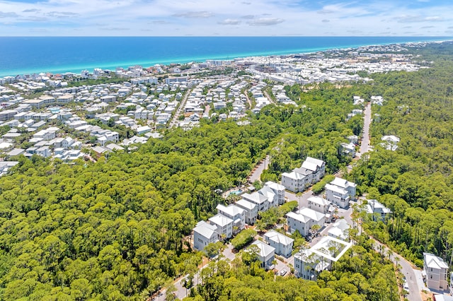 26 Silver Maple Dr, Inlet Beach, FL 32461 - bird's eye view of a large body of water and a forest