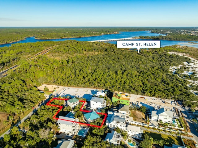 216 E Park Place Ave, Inlet Beach, FL 32461 - aerial view of property and surrounding area with a forest, a nearby body of water, and property boundaries highlighted