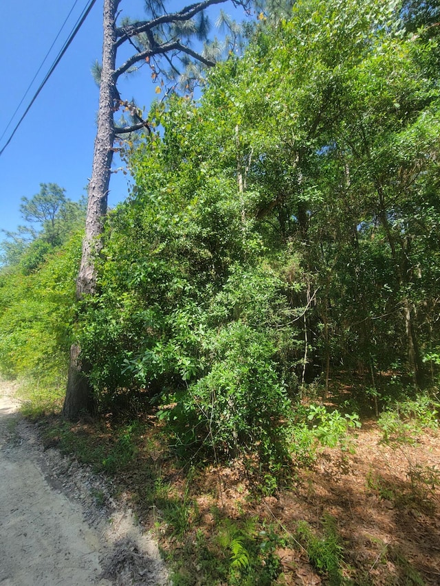 3.2ACRES Paul Rd, Defuniak Springs, FL 32433 - photo 1