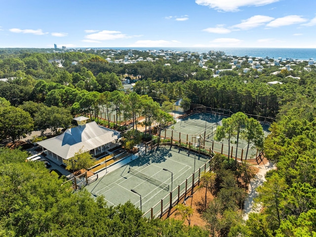121 Red Cedar Way, Santa Rosa Beach, FL 32459 - bird's eye view