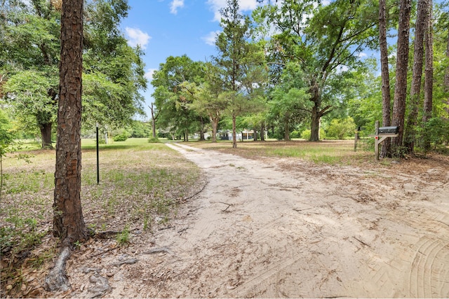 540 John King Rd, Crestview, FL 32539 - view of dirt / gravel road