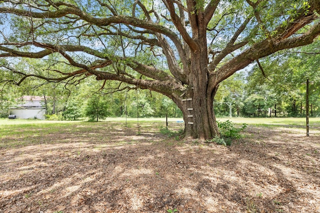 540 John King Rd, Crestview, FL 32539 - view of yard
