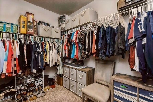 514 Mary Lou Way, Crestview, FL 32539 - walk in closet with carpet