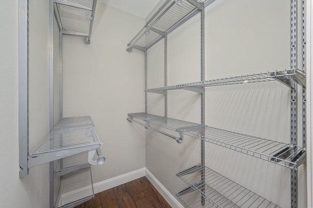 1501 N Partin Dr Unit 264, Niceville, FL 32578 - walk in closet with wood finished floors
