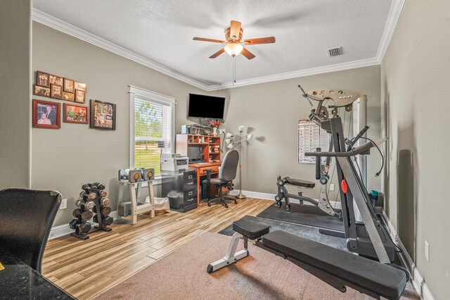 5105 Pasco Broxson Cir, Holt, FL 32564 - photo 24