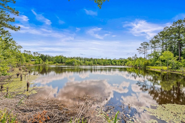 5105 Pasco Broxson Cir, Holt, FL 32564 - photo 51