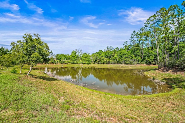 5105 Pasco Broxson Cir, Holt, FL 32564 - photo 60