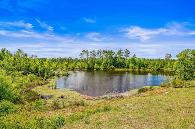 5105 Pasco Broxson Cir, Holt, FL 32564 - photo 58