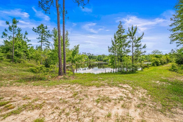 5105 Pasco Broxson Cir, Holt, FL 32564 - photo 61