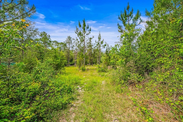 5105 Pasco Broxson Cir, Holt, FL 32564 - photo 63