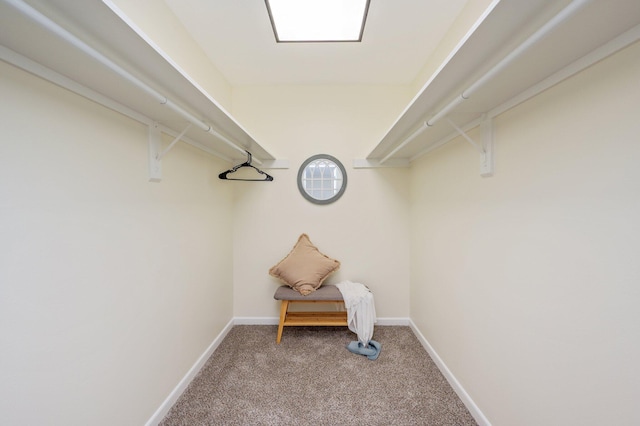 128 5th Ave, Shalimar, FL 32579 - spacious closet featuring carpet floors