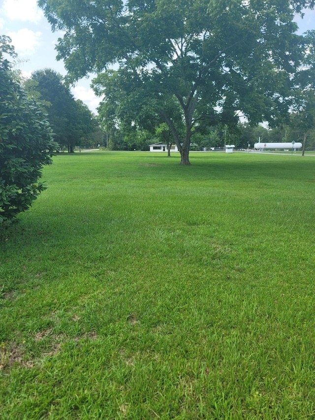 0 Maple St, Chipley, FL 32428 - photo 1