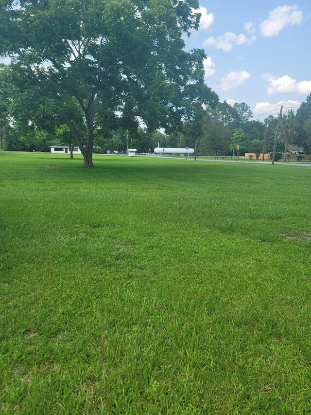0 Maple St, Chipley, FL 32428 - photo 3