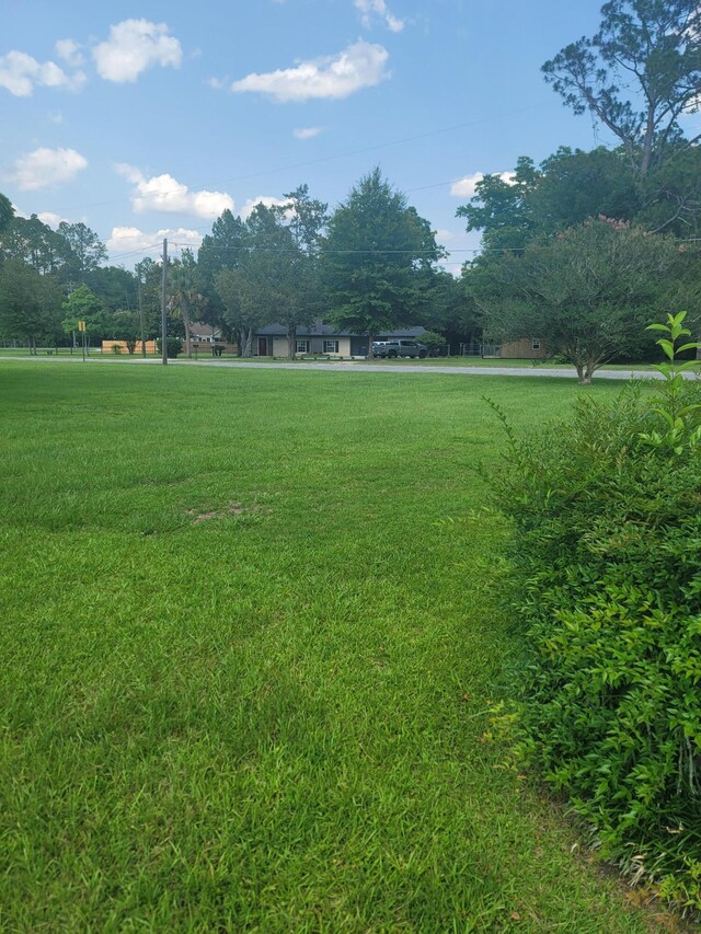 0 Maple St, Chipley, FL 32428 - photo 4