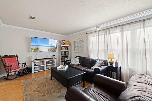 197 Country Club Rd, Shalimar, FL 32579 - living room with ornamental molding, healthy amount of natural light, wood finished floors, and a textured ceiling