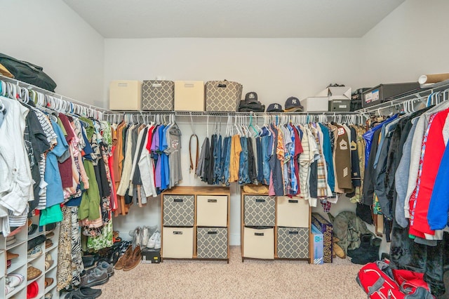602 Champ Trl, Crestview, FL 32539 - walk in closet with carpet