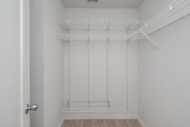 613 Prairie St, Crestview, FL 32536 - spacious closet with carpet floors