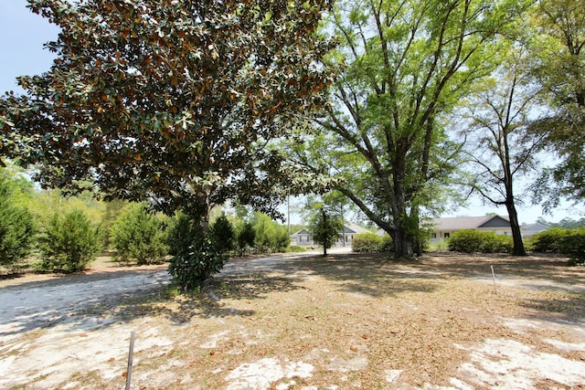 3961 Painter Branch Rd, Crestview, FL 32539 - view of yard