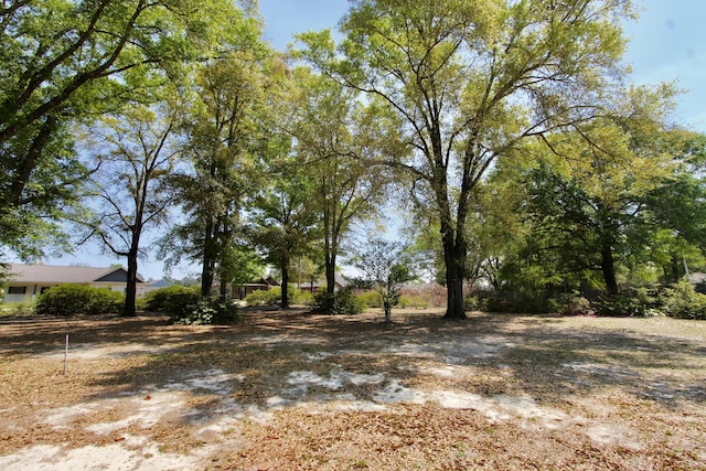 3961 Painter Branch Rd, Crestview, FL 32539 - view of yard