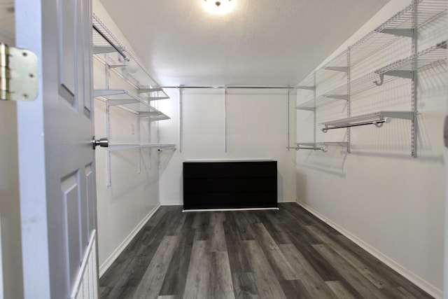 3961 Painter Branch Rd, Crestview, FL 32539 - walk in closet with wood finished floors