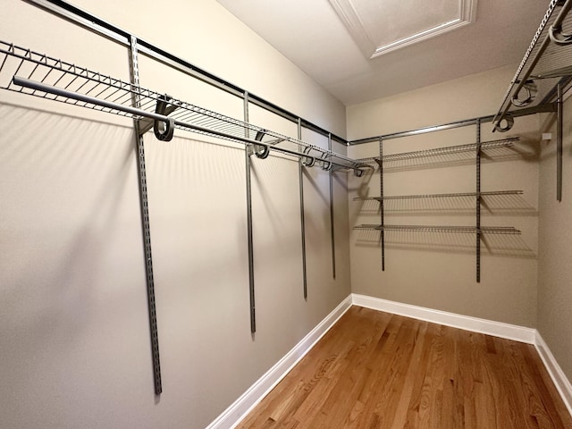 305 Mattie M Kelly Blvd, Destin, FL 32541 - spacious closet featuring wood finished floors and attic access