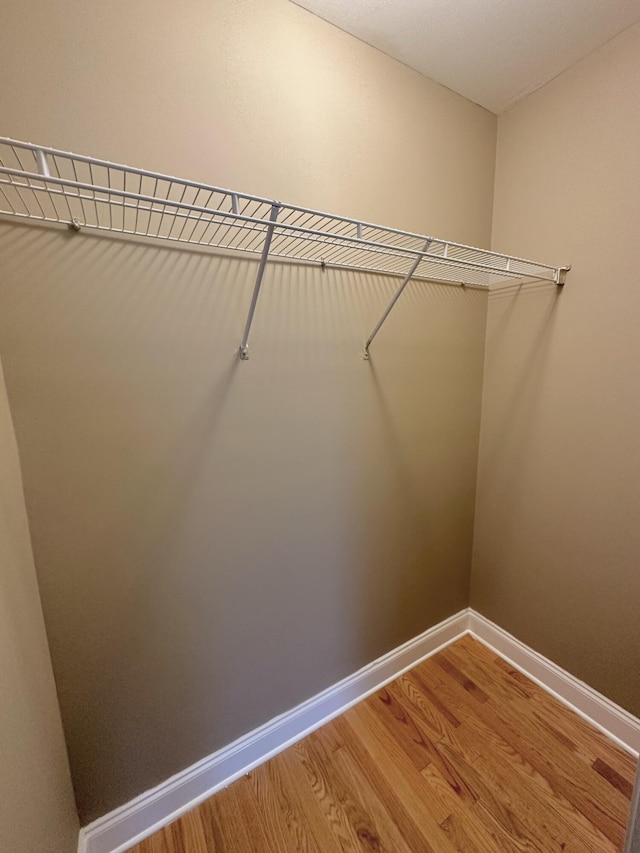305 Mattie M Kelly Blvd, Destin, FL 32541 - walk in closet featuring light wood-style floors