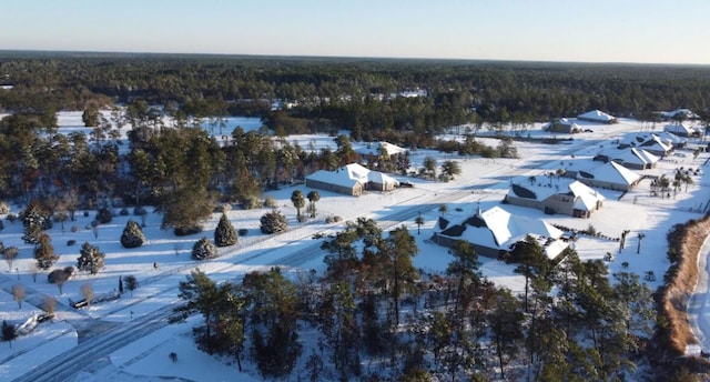 410 Coastal Breeze Dr, Freeport, FL 32439 - snowy aerial view featuring a forest view